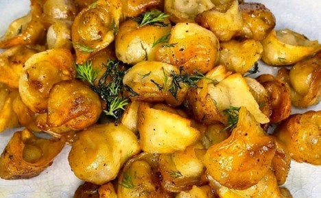 ������ ������� �������� ���������� ��������� �� �����