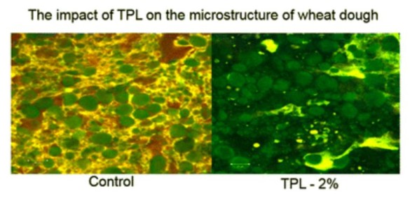 ������ ����������: ����������� ������� �� �������� �����