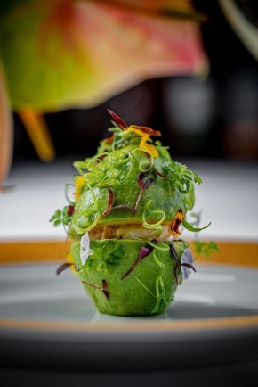 �������-������� � ������: ���������������� ������� � Regent