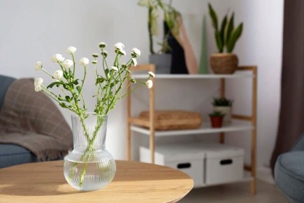 ���������� ��������� ��� ������� ������: ������� � ����������� ������