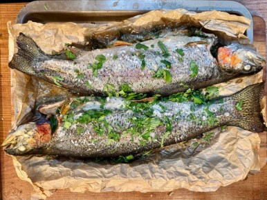 ���������� ������: ������� � �������������� ����� ��� ������ �����