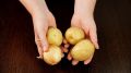 Удивительный салат из картофеля, который порадует всей семьей