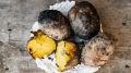 картошка в золе: забытый вкус природы и костра