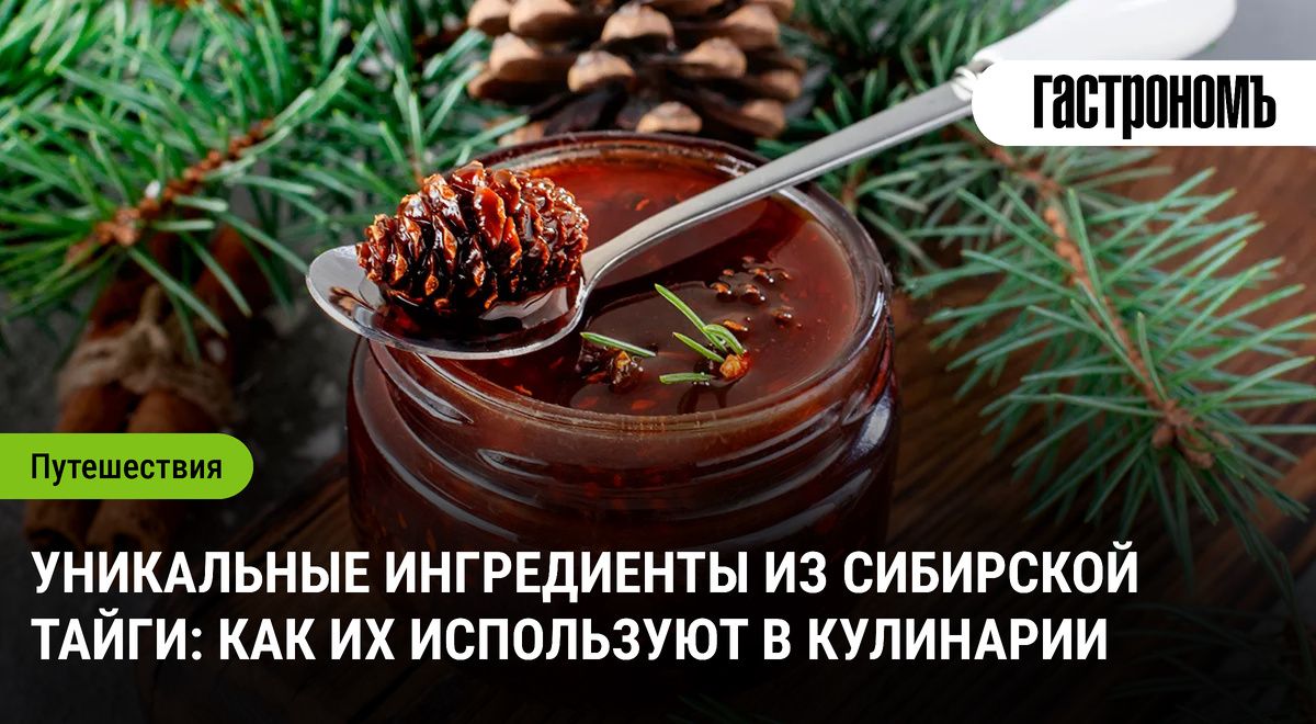 Сибирская тайга: кулинарные сокровища, о которых стоит знать