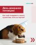 Праздник для вашего пушистика: как порадовать друга