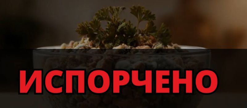 Кулинарные остатки: что можно есть после праздников