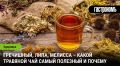 По секрету травяных чаев: что выбрать и почему