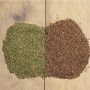 Гречка: какое зерно выбрать — коричневую или зеленую?