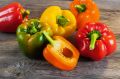 Как болгарский перец завоевывает наши кухни: вкусные рецепты и полезные свойства