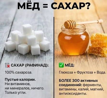 Мед или сахар: в чем отличия?