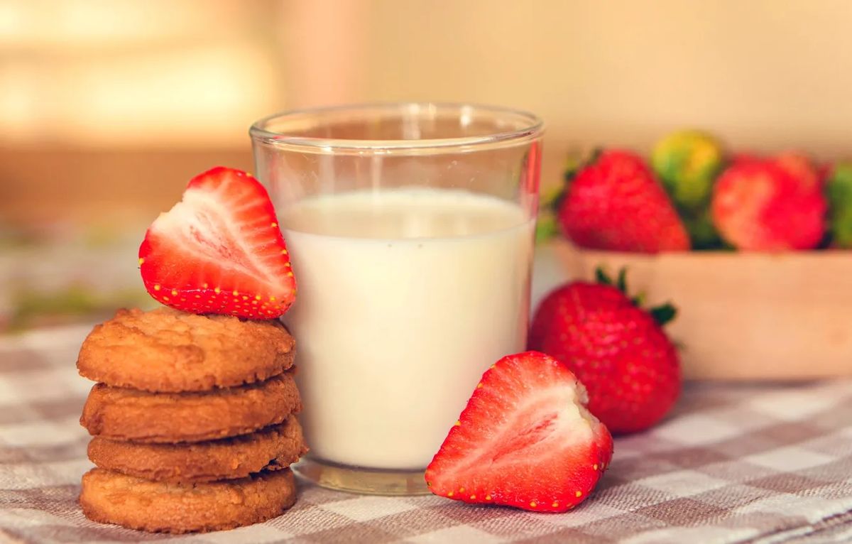 Растительное молоко: вкусовое разнообразие и здоровье без лактозы